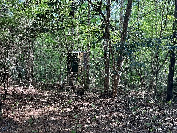 5th image of 1500 Blackmon Rd