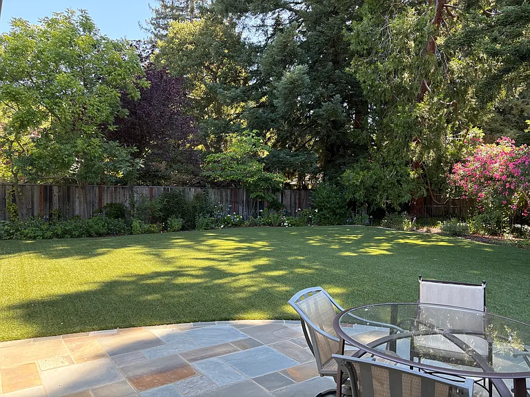 Back patio
