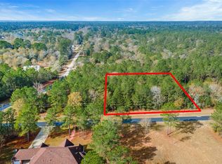 17855 Roundup Dr, Waller, TX 77484