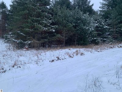 0 N Dickerson Rd, Lake City, MI, 49651