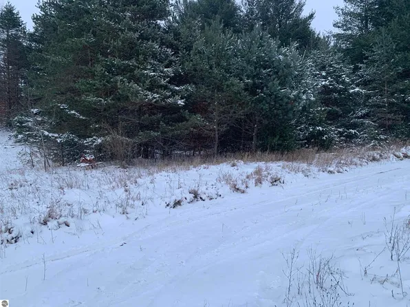 0 N Dickerson Rd, Lake City, MI 49651