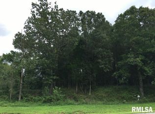 287 Parrish Ridge Ln, Goreville, IL 62939