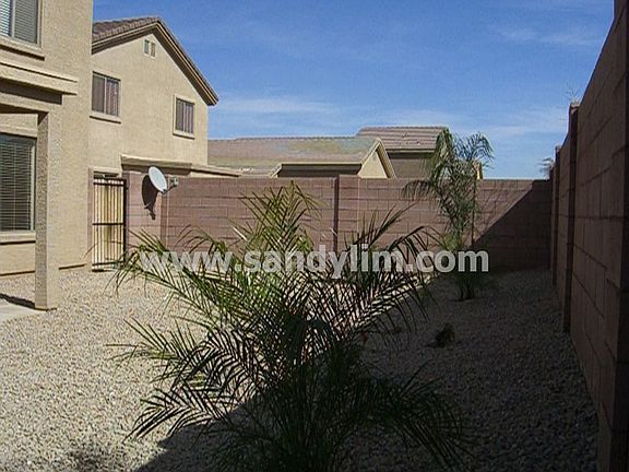 New Back Yard