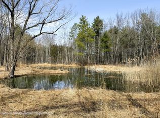 Tbd Frank Hitchcock Road, Cairo, NY 12413