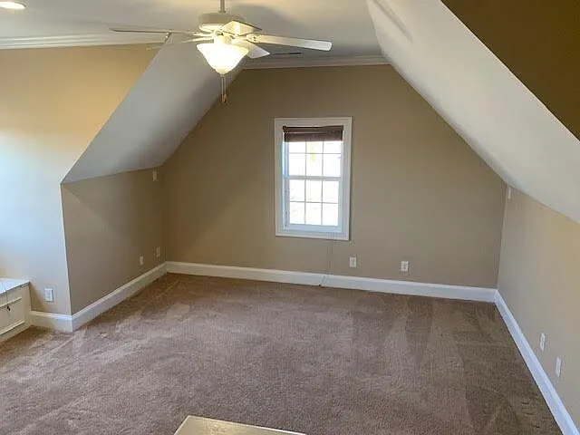 1113 Abby Dr — Photo 25
