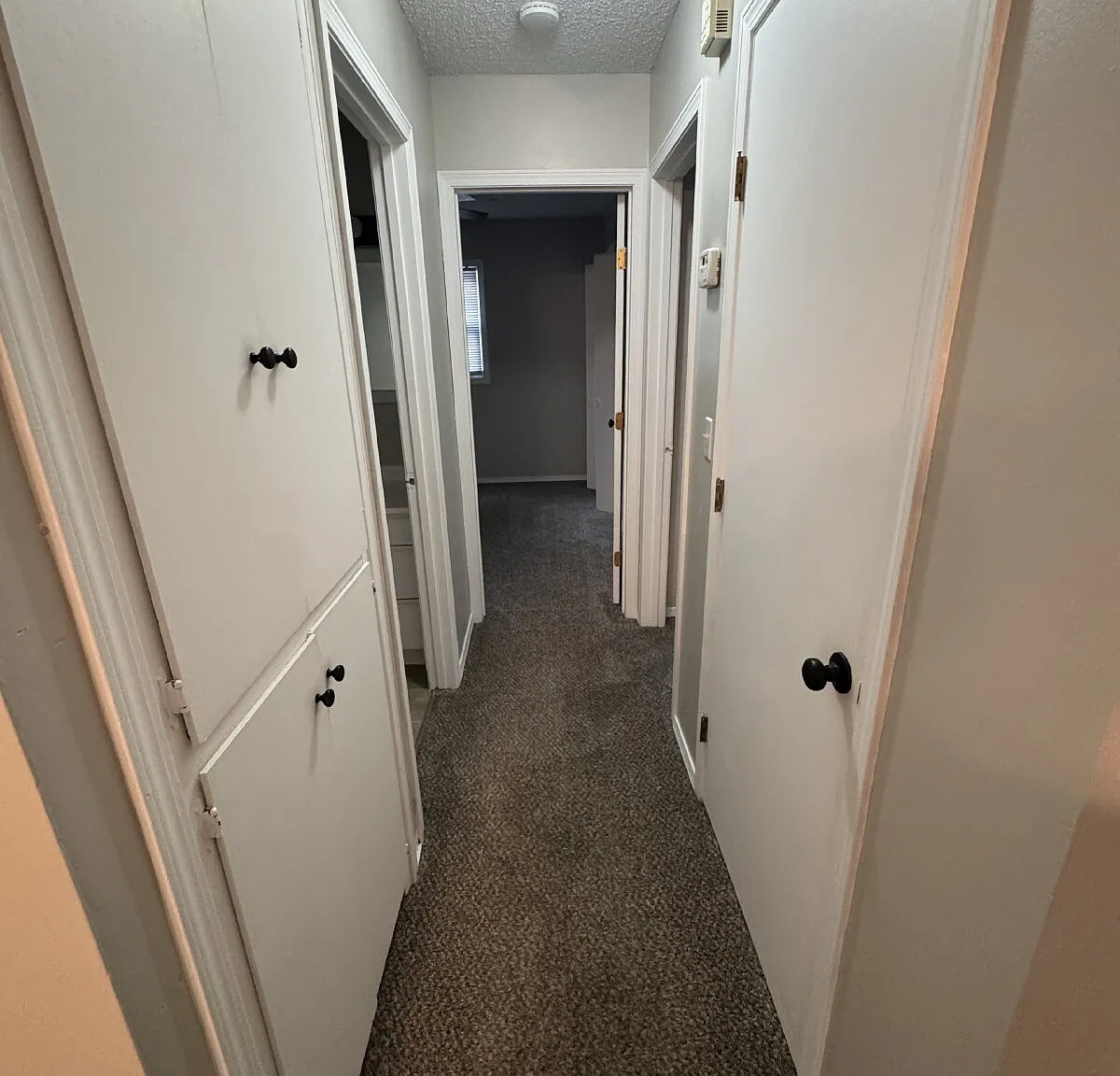 2 bed, 1.0 bath, $850 — Photo 3