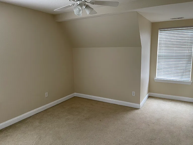 4593 Leamore Square Rd — Photo 20