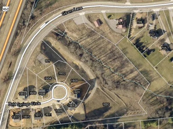 1603 Bold Springs Cir, Blacksburg, VA 24060