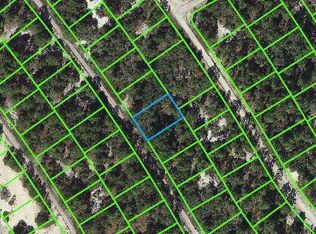 525 Dreamland Dr #21, Lake Placid, FL 33852