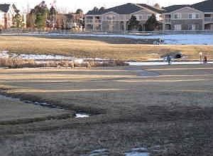 greenspace bordering unit