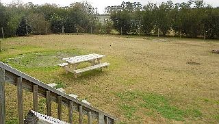 large fenced in backyard