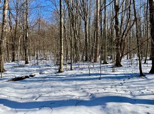 288 Lord Rd, Nineveh, NY 13813