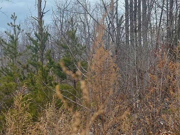 2nd image of 0 Robbins Perch West Ct