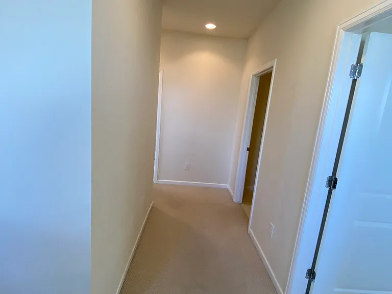 3315 Youngheart Way — Photo 13