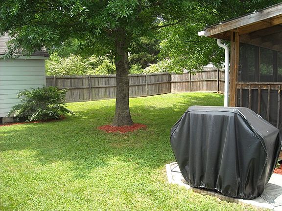 Back yard