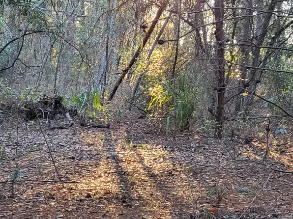 0 Beulah Church Rd, Crescent City, FL 32112