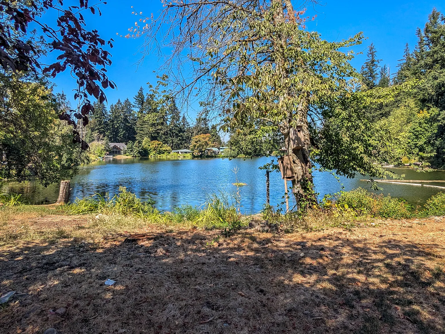2 bed, 1344 sqft, $1,995 — Photo 2