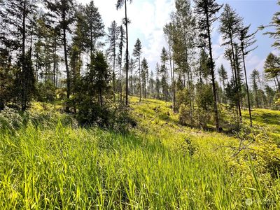 0 Lot 2 Vista Drive, Republic, WA, 99166