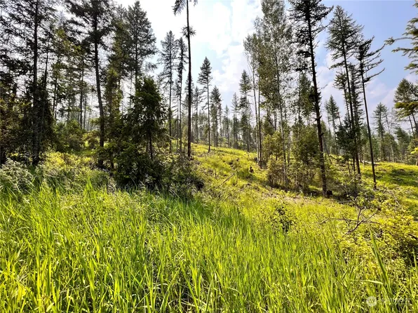 0 Lot 2 Vista Drive, Republic, WA 99166
