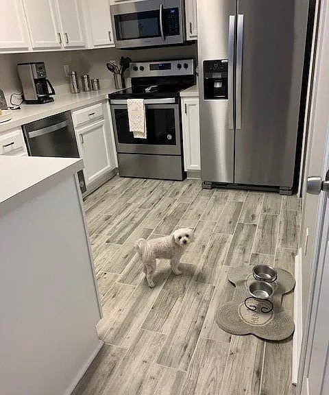 Updated kitchen with stainless steel appliances and brand new tile floor.