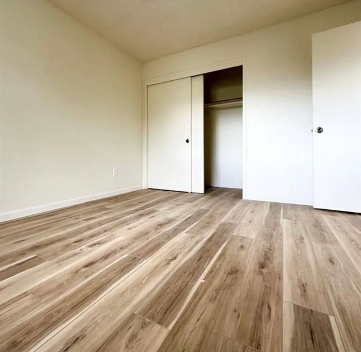 2 bed, 850 sqft, $1,700 — Photo 3