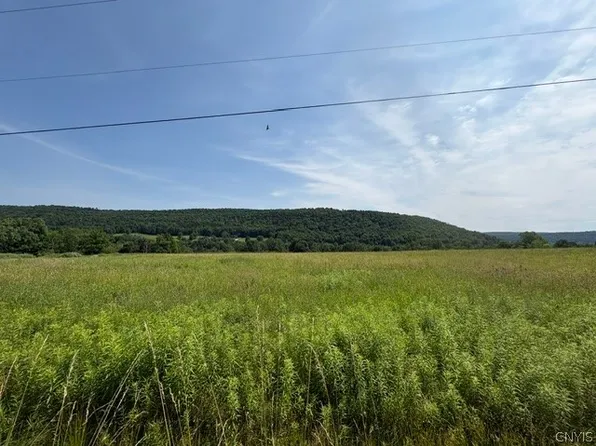 3838 Union Valley Rd Lot 9, De Ruyter, NY 13052