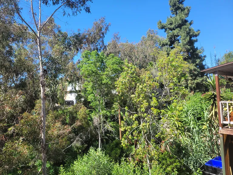 3716 Robinson Pl — Photo 49