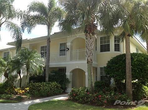 Attractive Curb Appeal Framed by Tall Palms