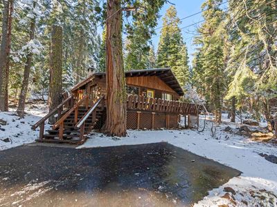 2630 Cedar Ln, Homewood, CA, 96141