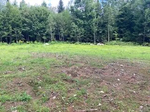 TBD Bog Road, New Vineyard, ME 04956