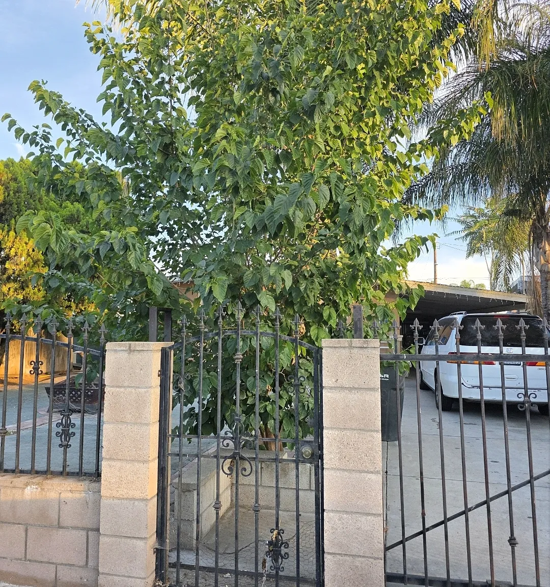 409 W 8th St — Photo 1