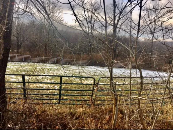 Syrian Hill Rd, Mc Graw, NY 13101