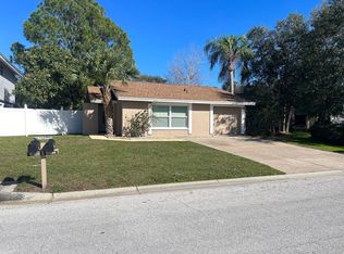 10334 Chadbourne Dr, Tampa, FL 33624
