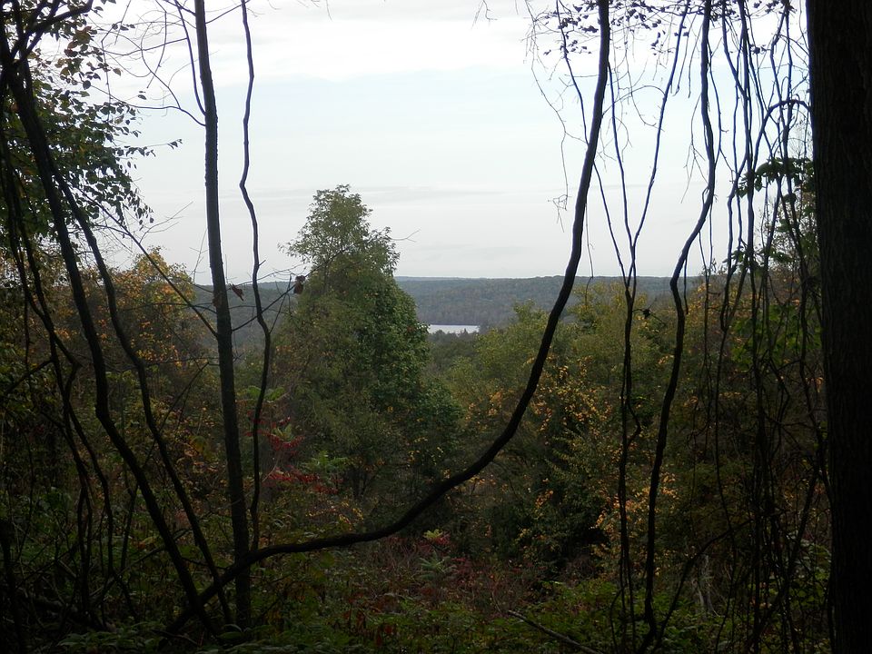 View of Glendale Lake