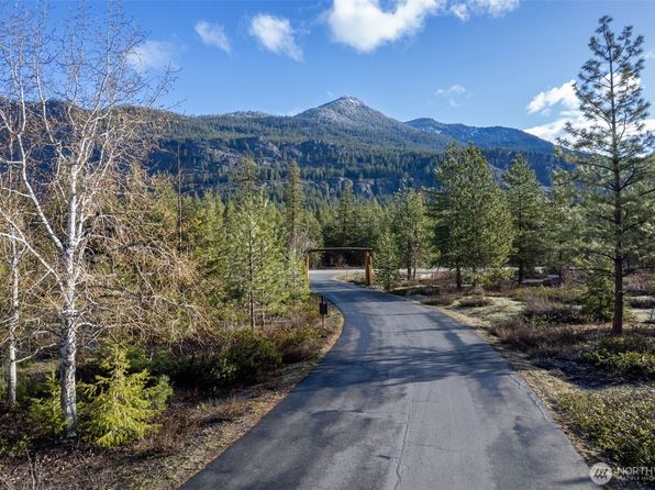 21 Early Winters Drive, Mazama, WA 98833