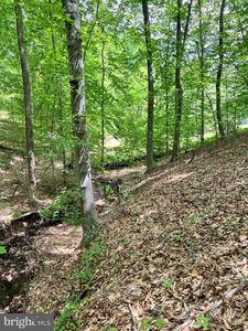 22 Long Branch Ln, Stafford, VA, 22556