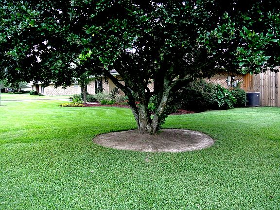 mature landscaping