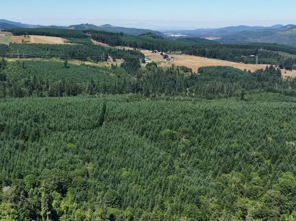 Marcola Rd N, Sweet Home, OR 97386