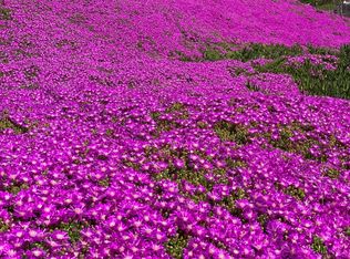 3463 Calaveras Rd, Milpitas, CA 95035