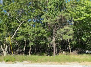 Pleasant Avenue, Medford, NY 11763