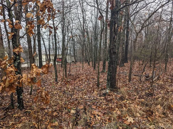 Tbd State Road D, Camdenton, MO 65020