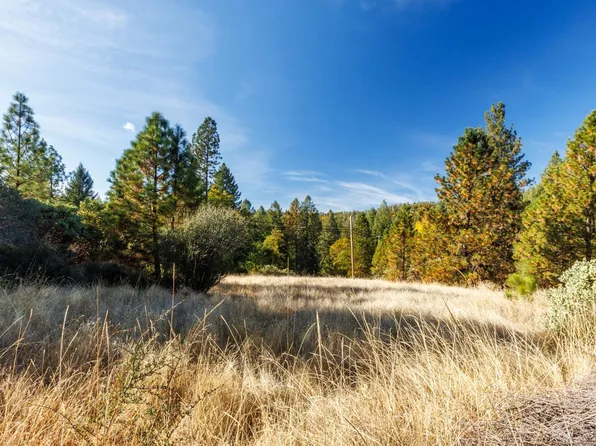 Acre 12 Snows Rd, Pollock Pines, CA 95726