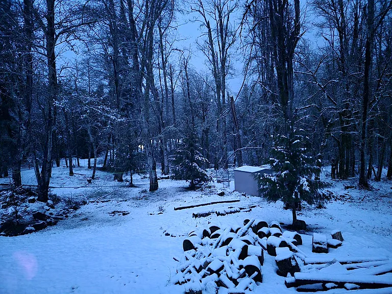 View from porch overlooking N towards end of property including sheds