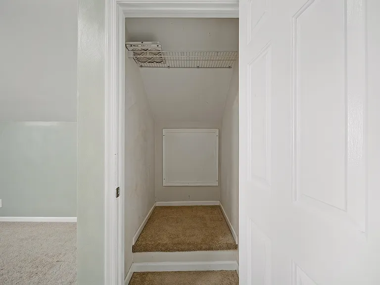 3117 White Tail Ct — Photo 18
