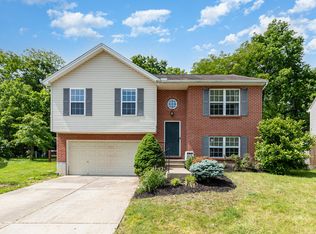 876 Virginiabradford Ct, Elsmere, KY 41018