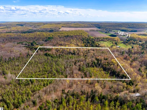 0 Benzie Hwy, Benzonia, MI 49616