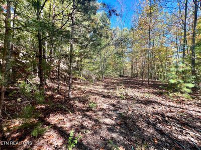 1844 Creek Hollow Way, Pigeon Forge, TN, 37876