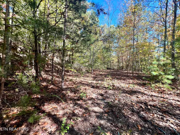 1844 Creek Hollow Way, Pigeon Forge, TN 37876