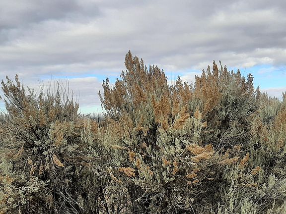 5th image of Christmas Valley Wagontire Hwy #7700