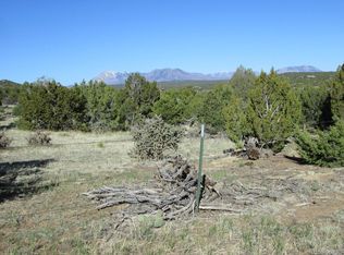 343 Rio Cucharas Chase #2, Walsenburg, CO 81089